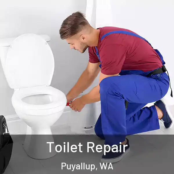  Toilet Repair Puyallup, WA