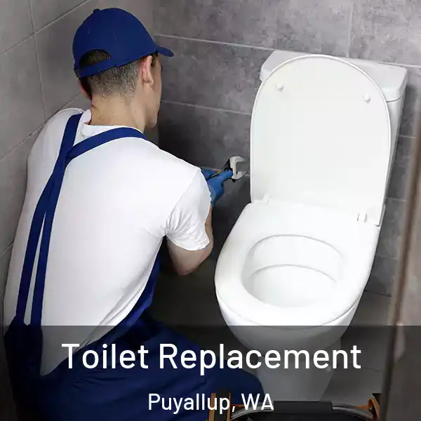  Toilet Replacement Puyallup, WA