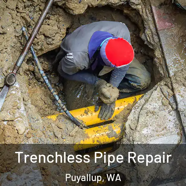  Trenchless Pipe Repair Puyallup, WA