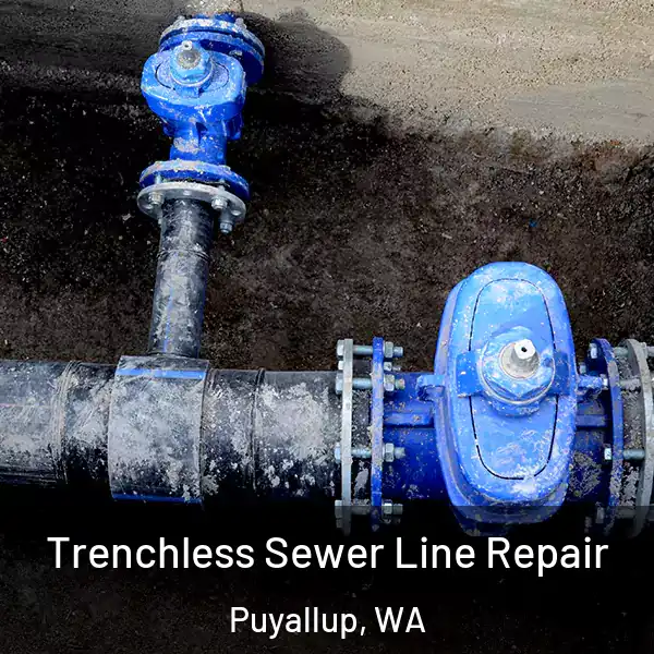  Trenchless Sewer Line Repair Puyallup, WA