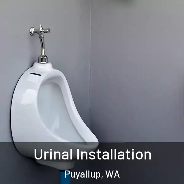  Urinal Installation Puyallup, WA
