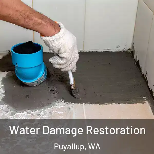  Water Damage Restoration Puyallup, WA