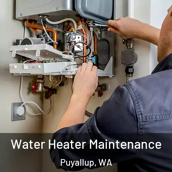  Water Heater Maintenance Puyallup, WA