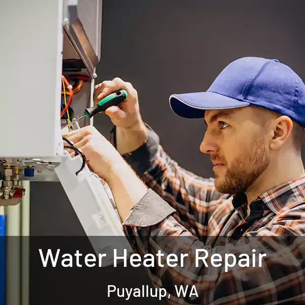  Water Heater Repair Puyallup, WA