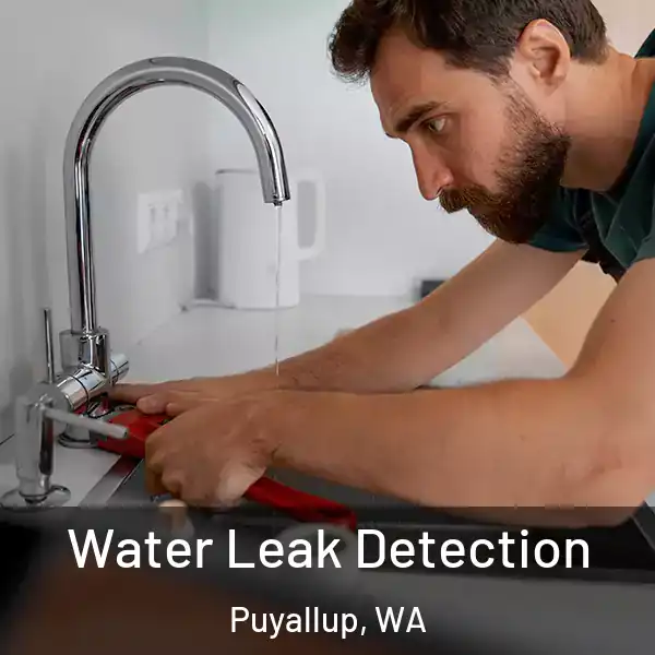  Water Leak Detection Puyallup, WA