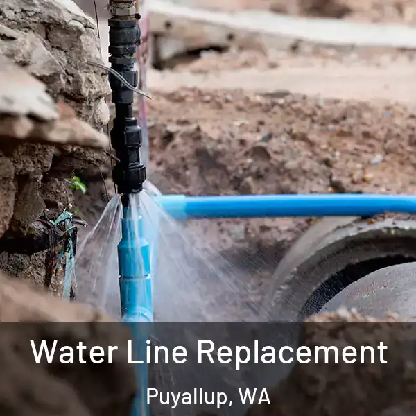  Water Line Replacement Puyallup, WA