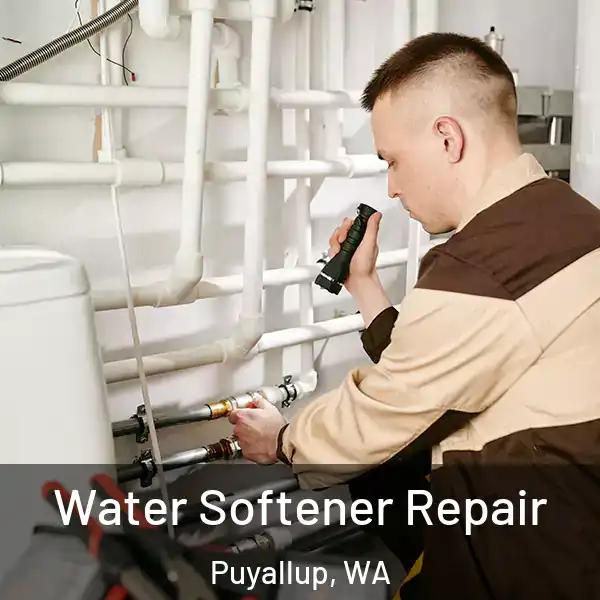  Water Softener Repair Puyallup, WA