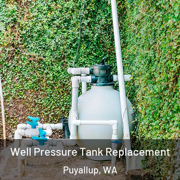  Well Pressure Tank Replacement Puyallup, WA