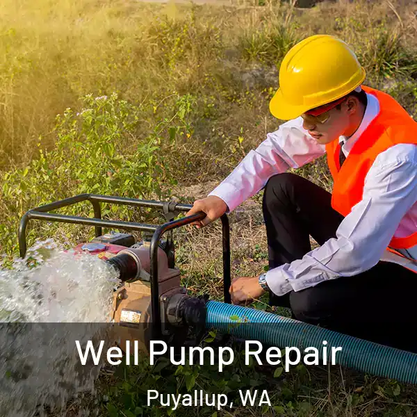  Well Pump Repair Puyallup, WA