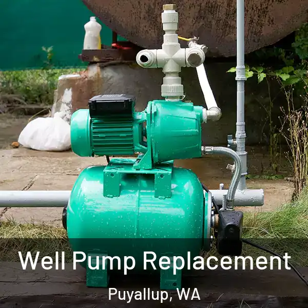  Well Pump Replacement Puyallup, WA
